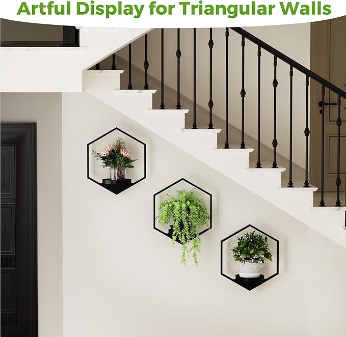 Wall Planters for Indoor Plants, Plant Frames Wall Decor Living Room Plant - Image 4