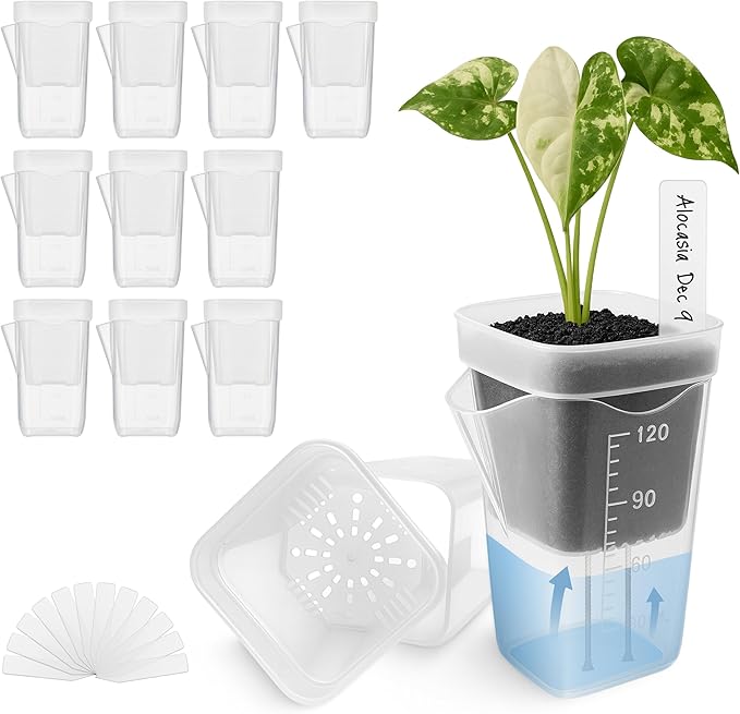 12 Pack 2" Mini Self Watering Pots by Vandorelle