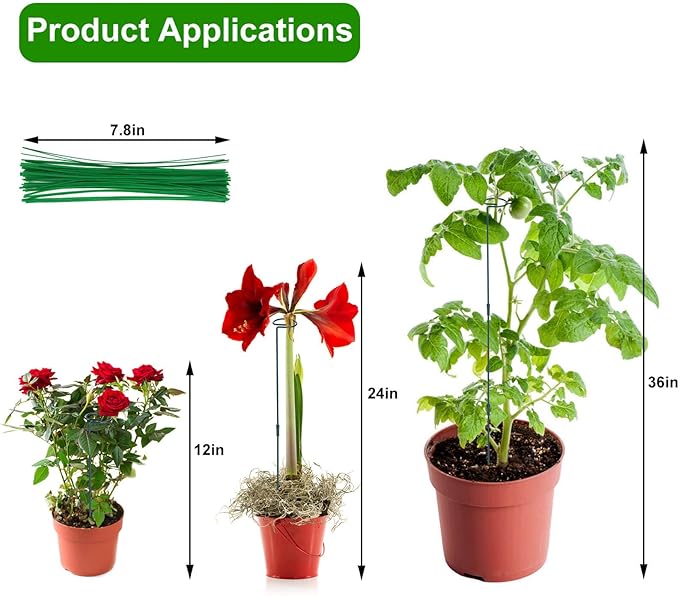 2 Pack Plant Support Stakes, Three Sizes Plant Support Rings - Image 4