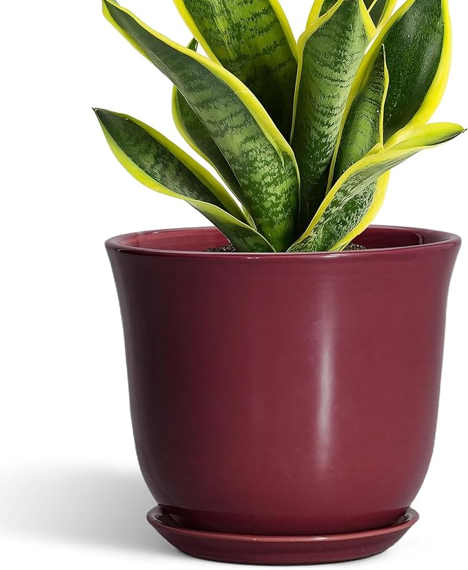 Ceramic Planter by SUNPOTFOR