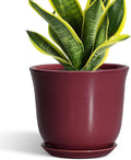 Ceramic Planter by SUNPOTFOR