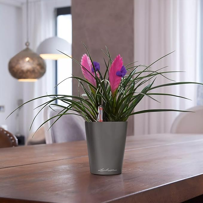Lechuza MINI-DELTINI Charcoal Metallic, Self-Watering Small Indoor Planter - Image 9