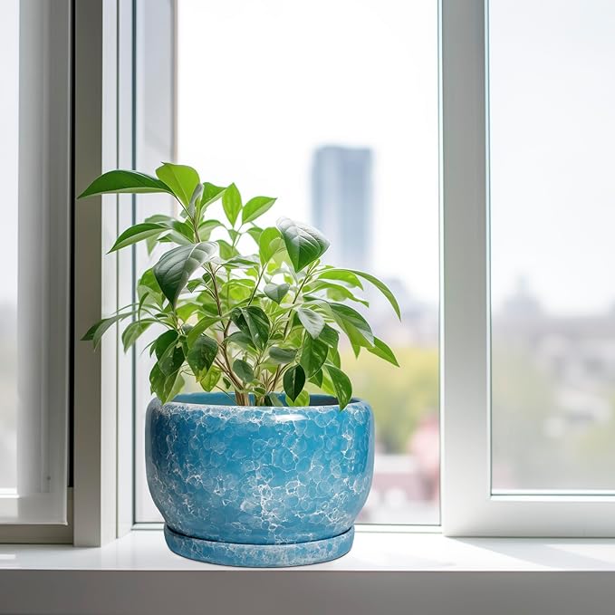 SQOWL Ceramic Planters - Image 4