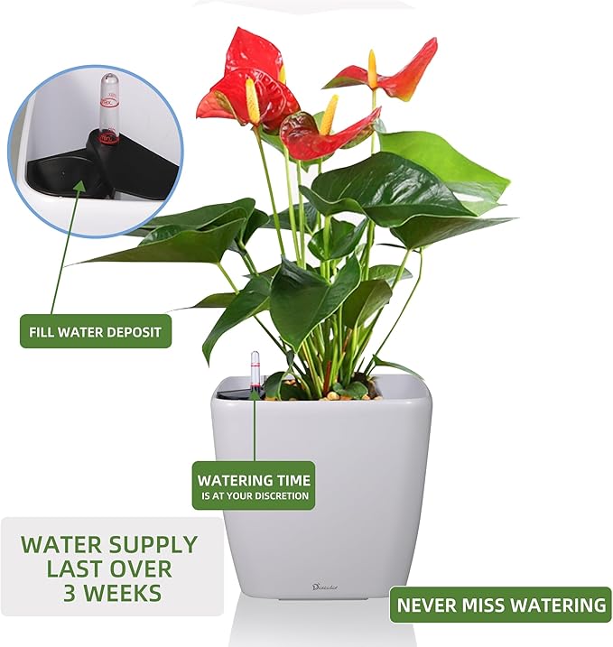 Dexceder 15x14 Self Watering Planter - Image 5