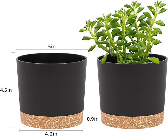 QCQHDU 5 inch Plant Pot, 2 Pack Planters - Image 2