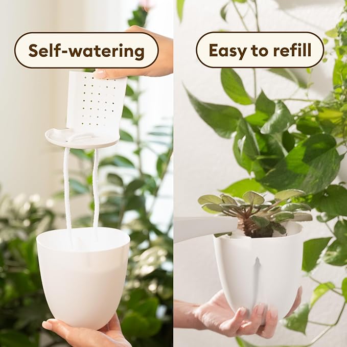 PlantPod Classic - Image 5