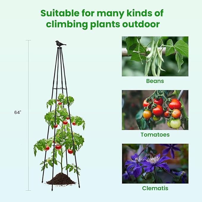 Cucumber Trellis, 2 Pack - Image 6
