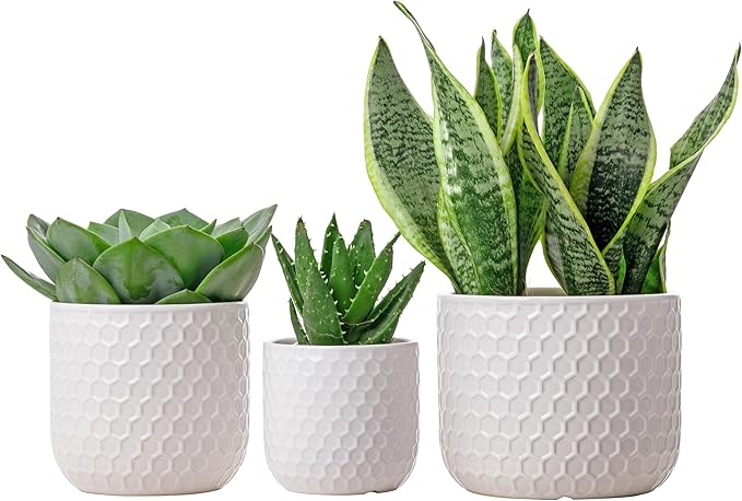 Docrin Plant Pots Indoor with Drainage: 6.4+5.3+4 Inch Ceramic Flower Pots - Image 9