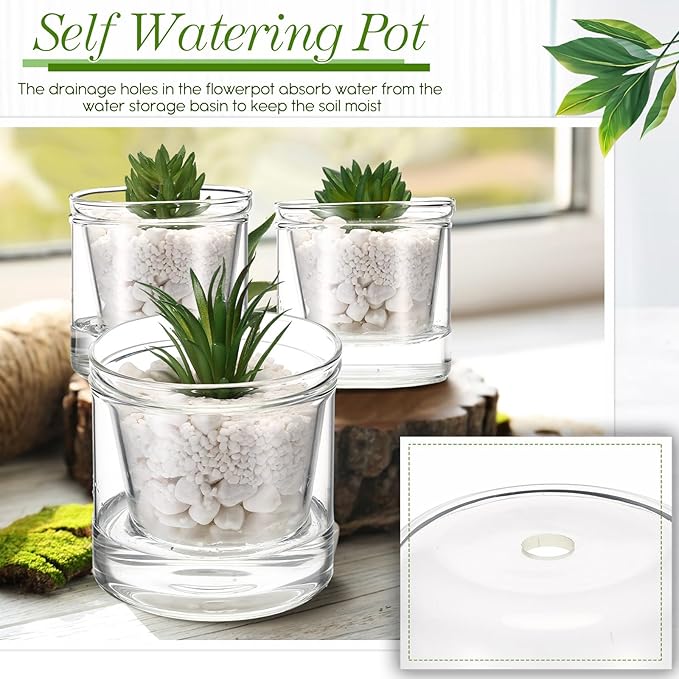Baderke 2 Pcs 4 Inch Self Watering Pot - Image 3