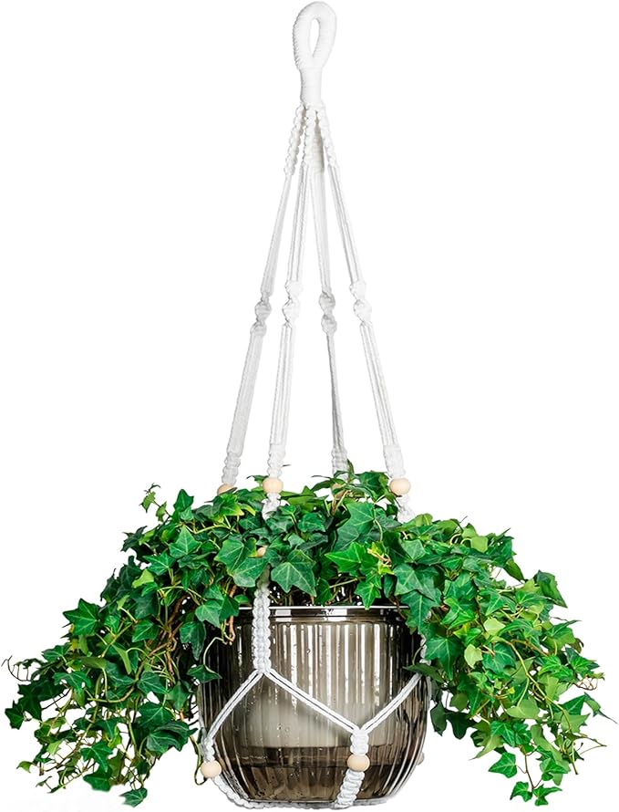 Melphoe Self Watering Hanging Planters by Melphoe