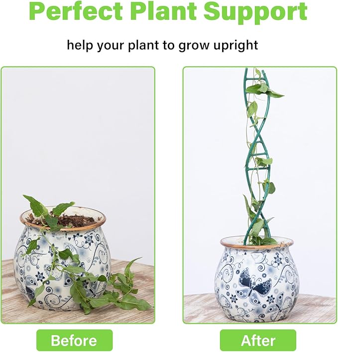 Indoor Plant Trellis for Potted Plants - Image 3