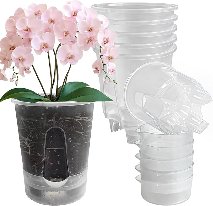 Cdd's Path Upgraded 5-Pack 6 Inch Naked Root Planter Self Watering Pots Set by Unknown