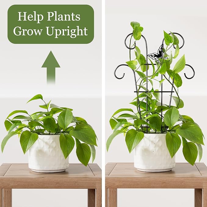 Indoor Plant Trellis for Climbing Plants, Stackable Garden Trellis for Potted - Image 3