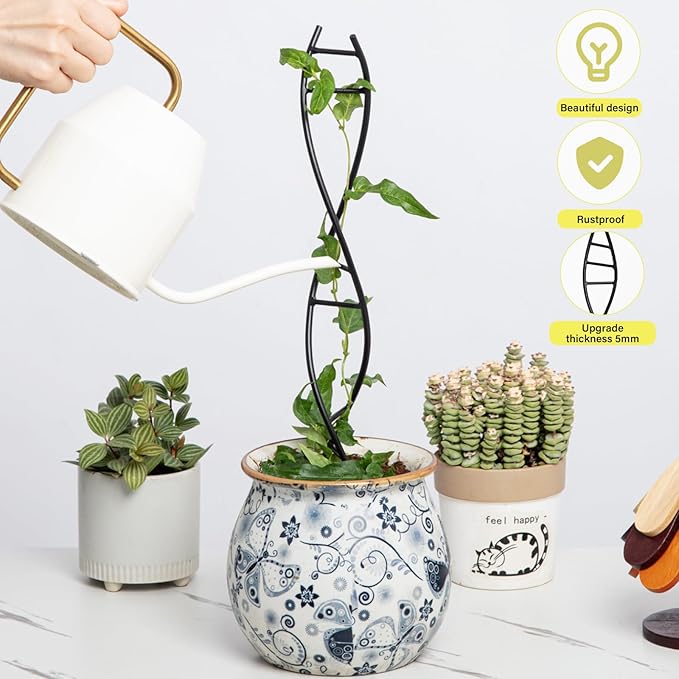 DNA Spiral Plant Trellis Indoor - Image 5