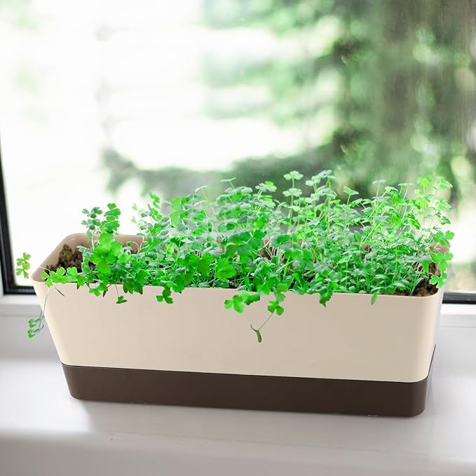 Window Box Planter with Tray - Image 7