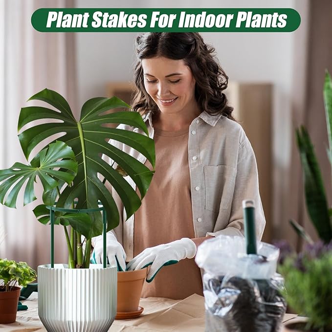 Uzoli 12 Pack Plant Support Stakes Sets - Image 6