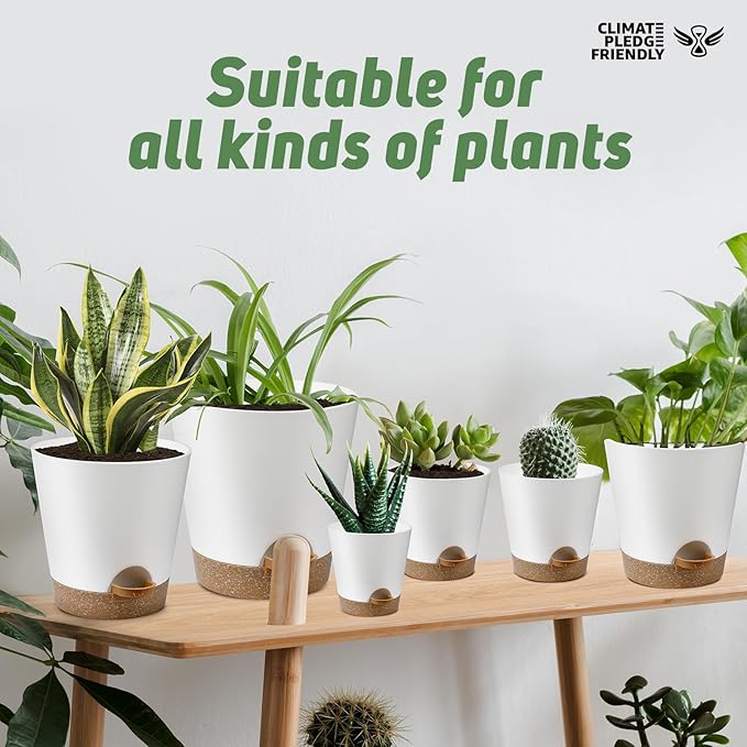Indoor Self Watering Planters - Image 7