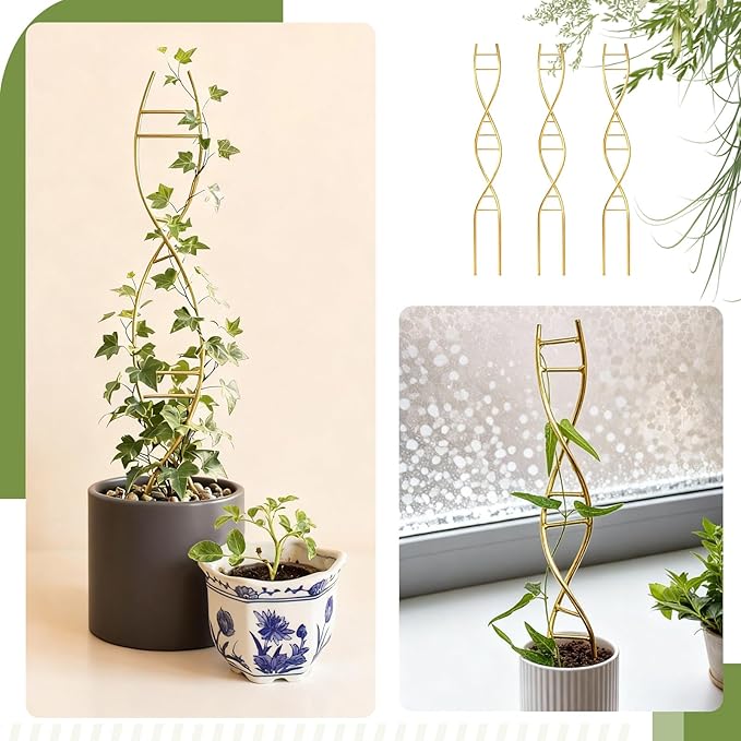 3 Pcs 15.75 Inch Indoor Plant Trellis - Image 4