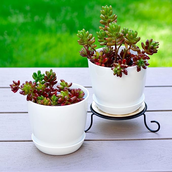 Tergy 50 Pack 4 Inch Plant Pots Bulk Small Plastic Planters Pots - Image 3