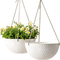 LA JOLIE MUSE 10 Inch Hanging Planters by LaJol%C3%ADeMuse