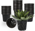 100 Packs 6 Inch Nursery Pots, 4 5 6 Inches Plastic Nursery Pots by TAQIXI