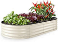 Plant & Plot Galvanized Raised Garden Beds Outdoor // 6×3×1 ft Planter Raised by PlantPlot