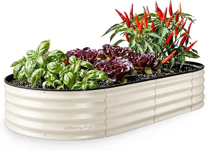 Plant & Plot Galvanized Raised Garden Beds Outdoor // 6×3×1 ft Planter Raised by PlantPlot