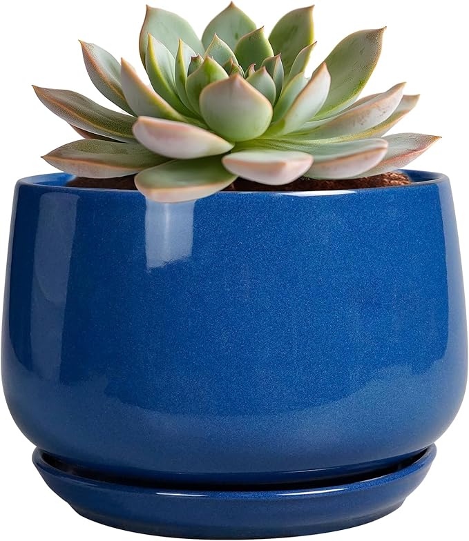 G EPGardening 6 Inch Plant Pot by GEPGardening