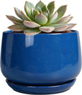 G EPGardening 6 Inch Plant Pot by GEPGardening