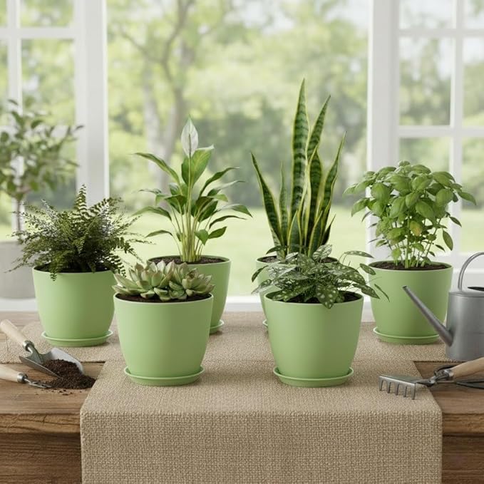 Plant Pots 8 Inch Set of 6, Flower Pots - Image 7