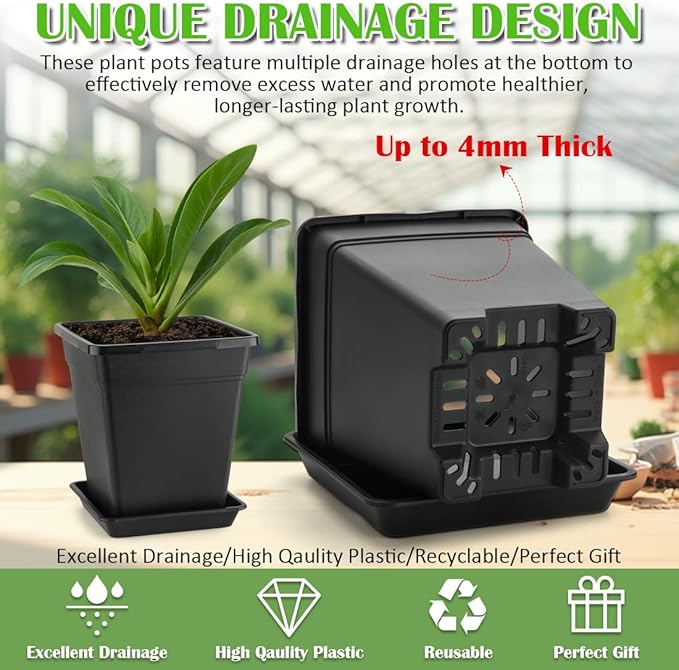 6 inch Plant Pots, 10 Pack Flower Pots Outdoor Indoor, Square Plastic Planter - Image 3