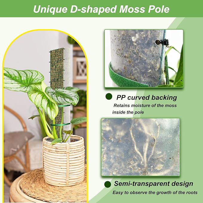 60" Metal Moss Pole, D Shape Sphagnum Moss Pole, Moss Poles - Image 2