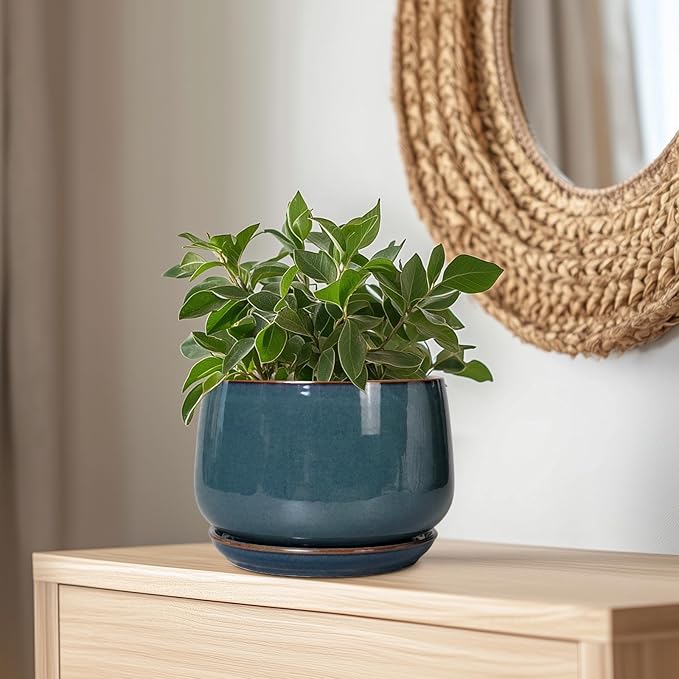 G EPGardening Ceramic Plant Pots - Image 6