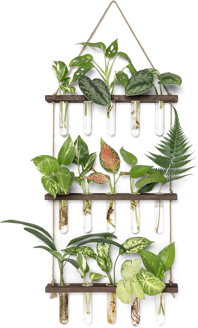 Mkono Plant Propagation Tubes, 3 Tiered Wall Hanging Terrarium by Mkono