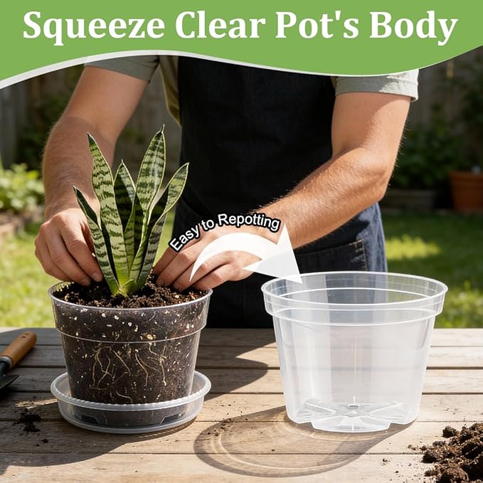 15 Pack 8/7/6 Inch Clear Nursery Pots - Image 5