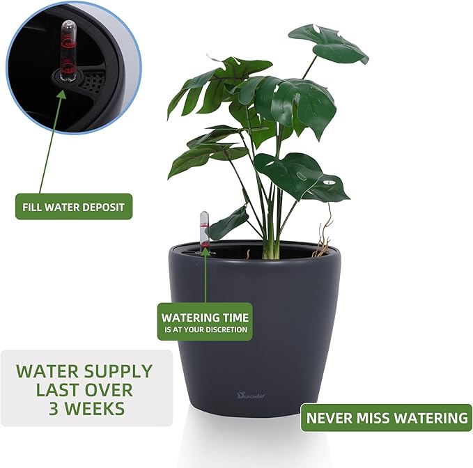 Dexceder 9x8 Inches Self Watering Planter Indoor Outdoor, Inner Pot Design - Image 5