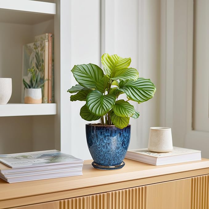 6 Inch Plant Pot - Image 3