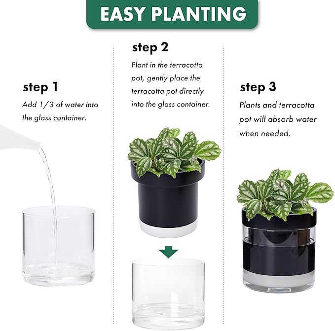 Phoenix Vine 6 Inch Self Watering Planter Pot - Image 7