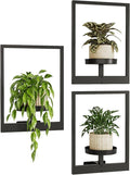 Bamworld Hanging Planters for Indoor Plants Wall Decor Living Room Plant Stand by Bamworld