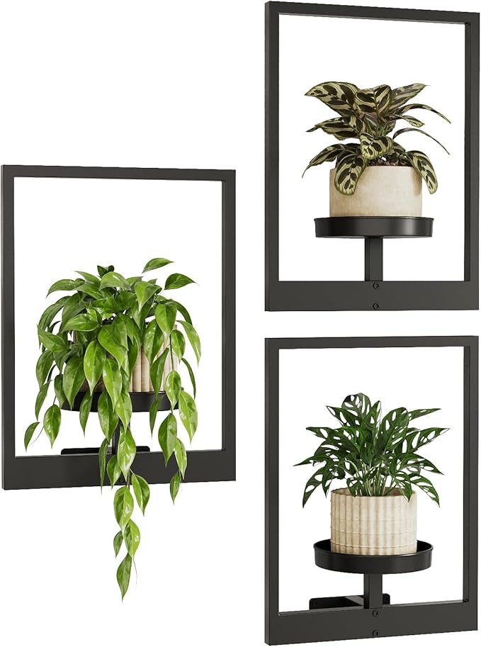 Bamworld Hanging Planters for Indoor Plants Wall Decor Living Room Plant Stand by Bamworld