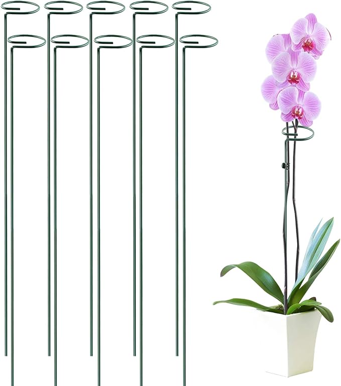 HiGift 10 Pack 36 Inch Plant Support Stake by HiGift