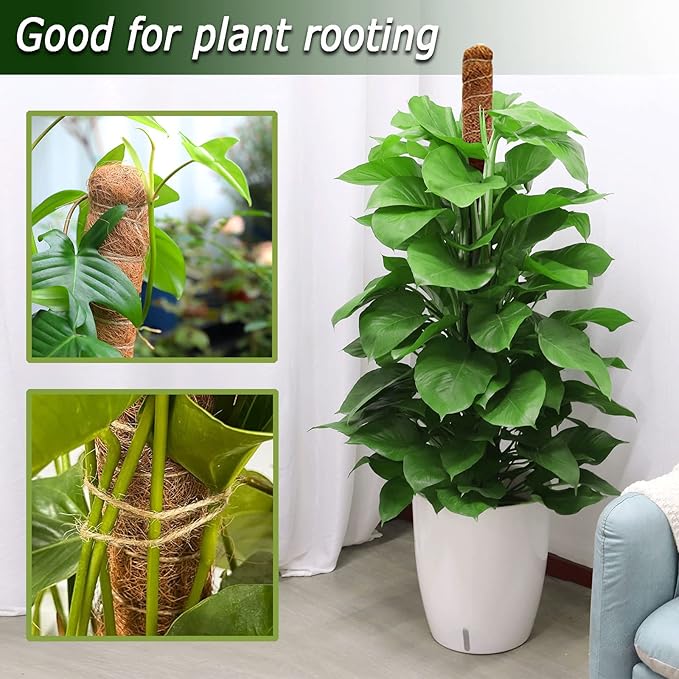 Moss Pole for Plants Monstera, 59 Inch Tall Bendable Moss Poles for Climbing - Image 6