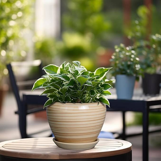 6 Inch Plant Pot Ceramic - Image 6