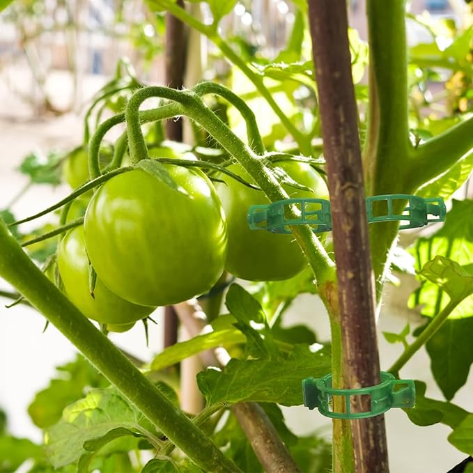 OJYUDD 300 Pcs Plant Support Clips, Plastic Tomato Clips, Plant Support Clips - Image 7