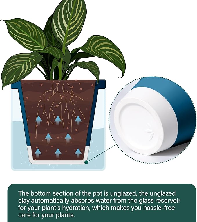 D'vine Dev 10 Inch Design Self Watering Planter - Image 5