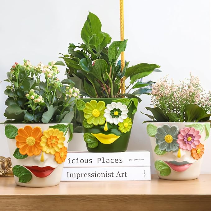 GUGUGO Unique Face Flower Plant Pots, Colorful Cute Succulent Planters - Image 6
