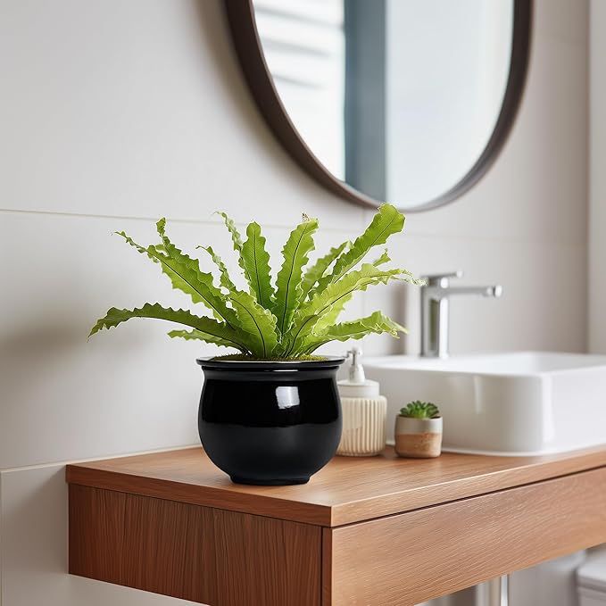 Ceramic African Violet Self Watering Pots, 6 Inch Self Watering Plant Pot - Image 5