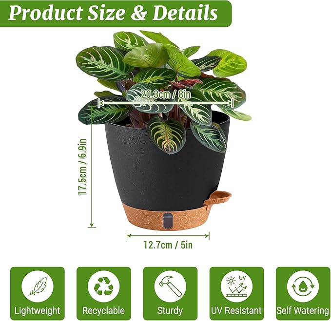 2 Pack 8 Inch Pots for Plants Indoor, Plastic Self Watering Planters - Image 3