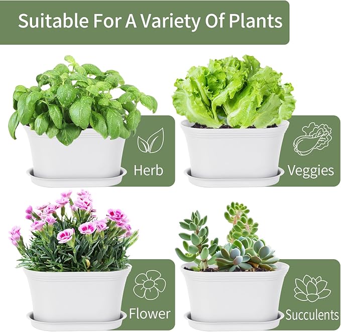 Windowsill Garden Pots, Succulents, African Violet - Image 4