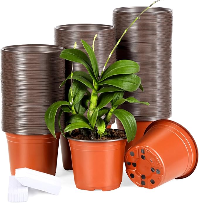 200 Pack 6 Inch Plastic Nursery Pots by Hemikaki